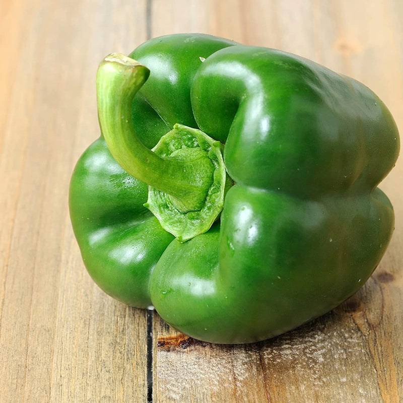 Plant Pepper Bell Chinese Giant