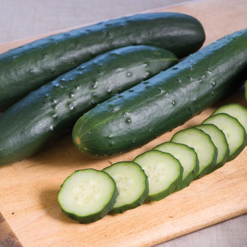 Cucumber Slicing Corinto 10 Non-GMO, Organic, Hybrid Seeds