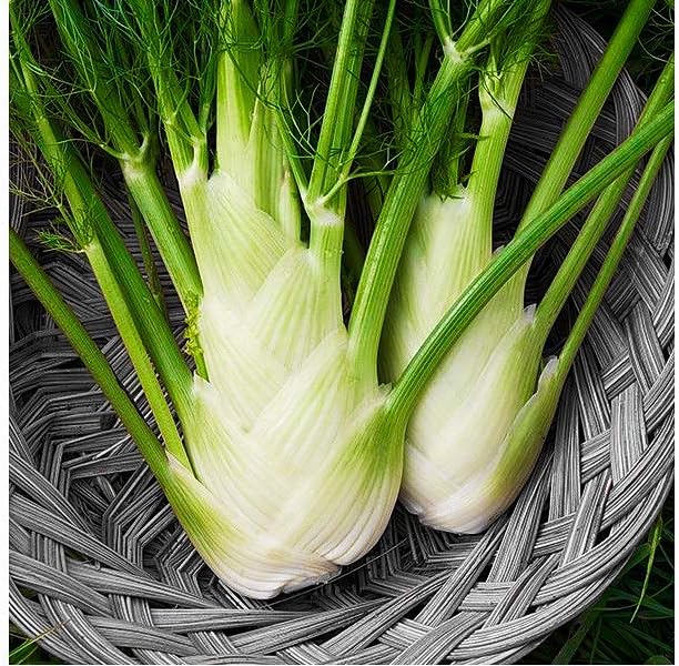 Known to Italian gardeners as Finocchio. Dill-shaped leaves with distinctive licorice flavor. May produce bulbs, which can be blanched or eaten raw in salads. Grows up to 36 to 60 inches tall. Harvest in about 90 days. Germination rate is about 80% or better.  Has many medicinal benefits. I am not allowed to list so you will have to look them up.