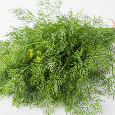 Herb Dill Bouquet 