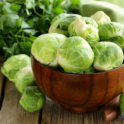 By far the most popular of the Brussels Sprouts, the Long Island Improved Brussels Sprout is an heirloom variety that’s been producing delicious miniature-like cabbage heads for over 100 years! Great on your dinner table as an accompaniment to any meat or salad dish. 
