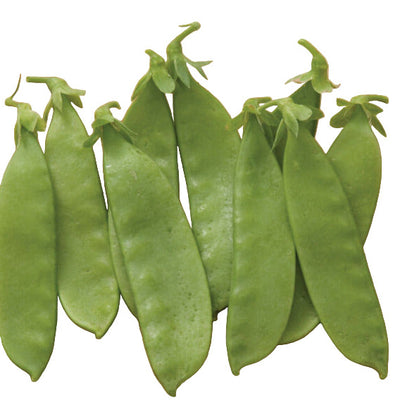 Fresh green pea pods laid out on a wooden cutting board.