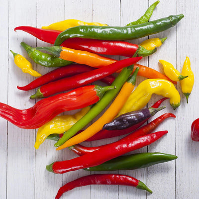 Add some dramatic flair to your garden with this well-balanced blend of Cayenne varieties in a rainbow of colors - red, orange, yellow, purple and green. All peppers are similar in shape and texture, with firm, tapered, 3 inch fruits that keep their color when dried. Very ornamental but edible as well, requiring only average soil and occasional watering to produce prolific yields.