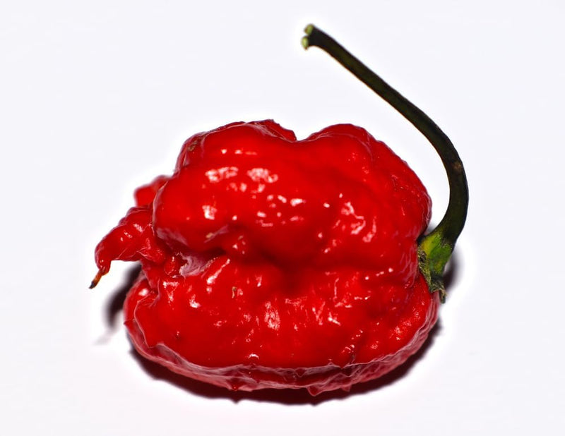 Pepper Hot Carolina Reaper 10 Non-GMO, Heirloom Seeds