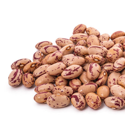 A market standout with striking red-streaked pods. The fresh shell beans are large and round. The 6 to 7 stringless pods can be eaten and marketed young as snap beans. These Italian beans retain their flavor whether fresh, frozen, or canned. Original stock seeds collected at the southern tip of South America, in Tierra del Fuego. Also of superior quality as a dry bean. Harvest in about 70 days. Germination rate about 80% or better. 