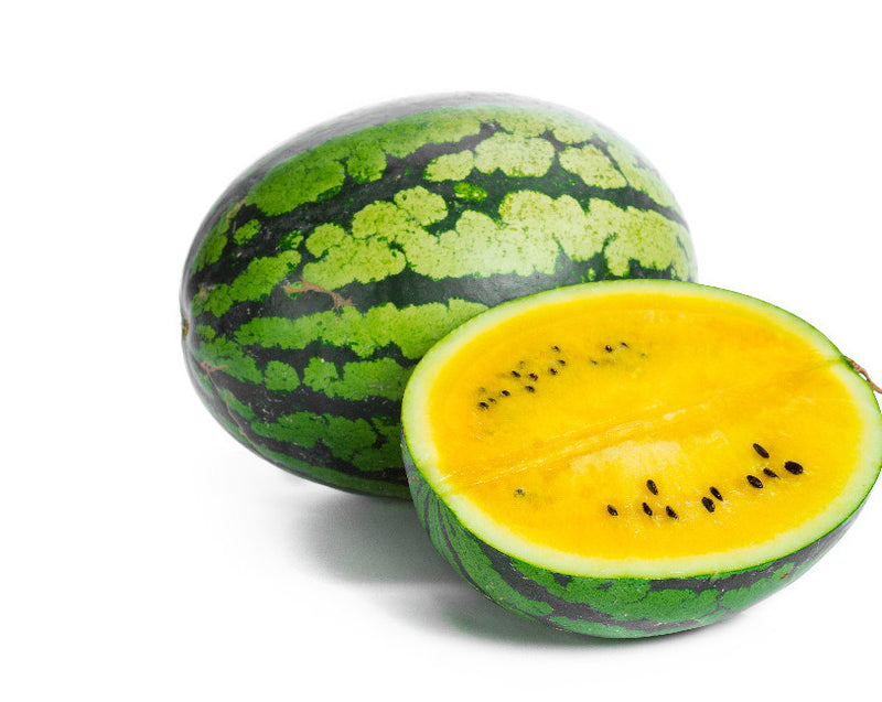 A great tasting and aromatic beauty at just 6 to 10 pounds, Yellow Petite Watermelon is the perfect size for small gardens. Referred to as an "Icebox" watermelon, it fits nicely into your fridge for summertime snacking. Best suited for shorter growing seasons, Yellow Petite matures in just over 2 months!  Harvest in about 65 days. Germination rate about 80% or better. 