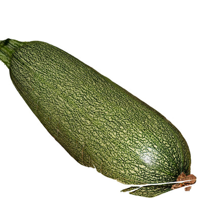 Green zucchini on the ground with leaves