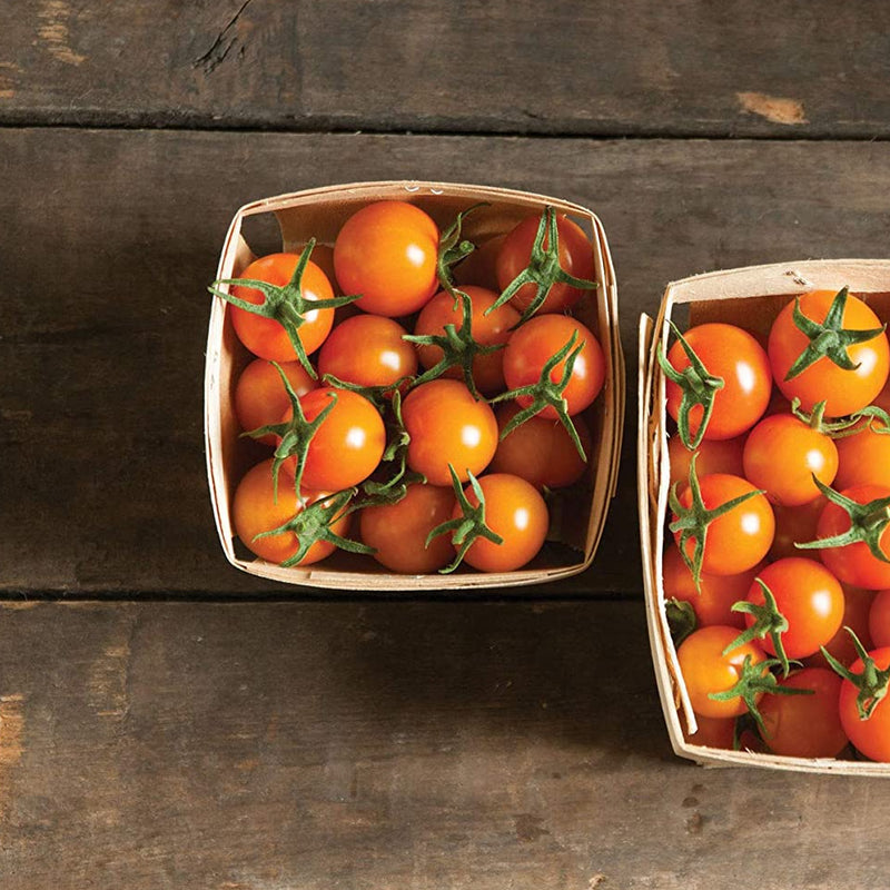 Intense fruity flavor. Exceptionally sweet, bright tangerine-orange cherry tomatoes leave customers begging for more. Vigorous plants start yielding early and bear right through the season. Tendency to split precludes shipping, making these an exclusively fresh-market treat. The taste can&