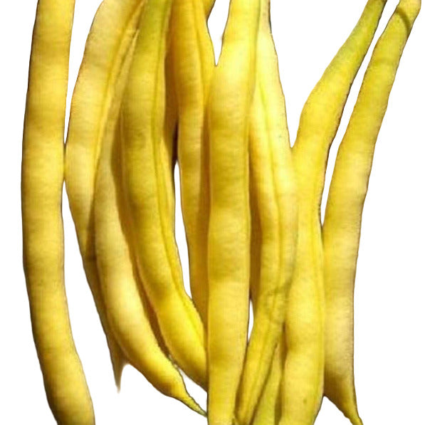A group of yellow Cherokee Wax Beans laid out on a wooden surface.