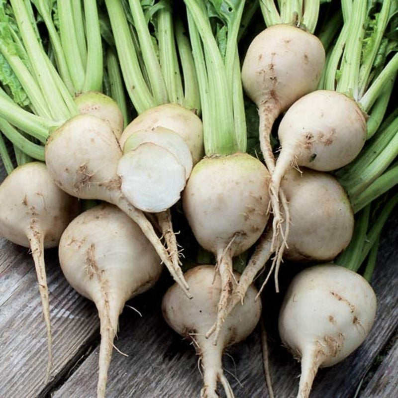 A group of fresh white albino beets with green tops, laid out on a wooden surface.