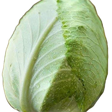A fresh head of Charleston Wakefield cabbage with outer leaves intact, placed on a wooden surface.