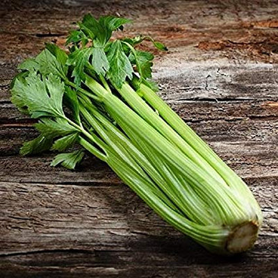 A fresh stalk of Celery Pascal with green leaves on a wooden background.