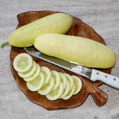 White cucumbers? Yep, the White Wonder is an heirloom variety introduced in 1893 that produces a high yield of delicious light or white-colored cucumbers! Use White Wonder Cucumbers in salads or for pickling – or even eat them raw. White Wonder Cucumbers are very productive, even in hot weather. Harvest in about 60 days. Germination rate about 80% or better. 