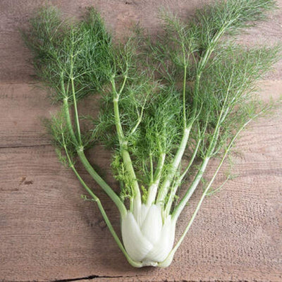 A fresh fennel bulb with green stalks and feathery leaves on a wooden surface.