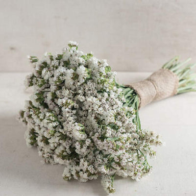 A bouquet of white statice flowers, commonly known as 'Seeker White', bound together with floral tape.