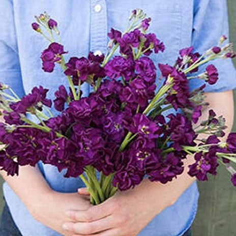  Girl holding a bouquet of purple flowers.