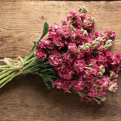 Bouquet of pink flowers on a wooden surface