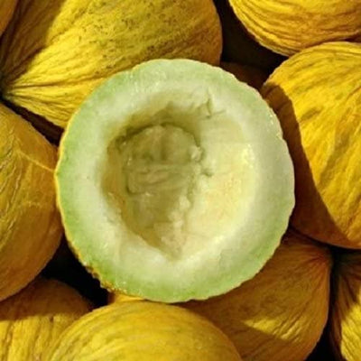 A group of Casaba melons with one halved to show the creamy flesh inside, placed on a yellow background.