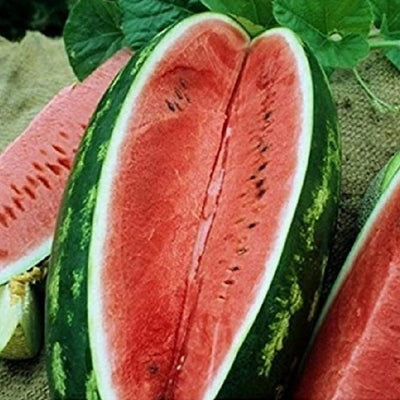 A close-up of sliced watermelon showing the firm, bright red flesh and the seed in the center.