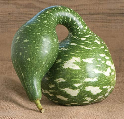 A green gourd with a long, curved neck, resembling a swan, with a speckled pattern.