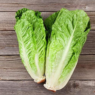 Two heads of Romaine Paris White Cos lettuce on a wooden surface.