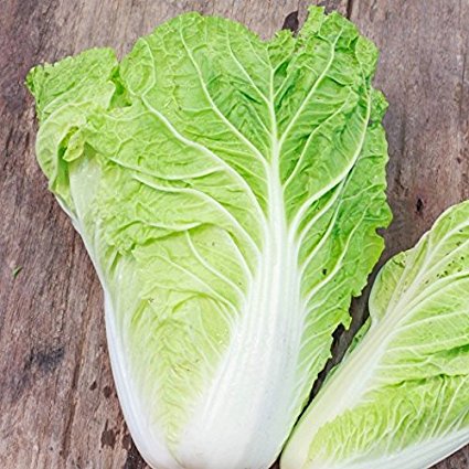 Michihili is an heirloom Chinese cabbage. Its light green leaves are tender and delicious, ideal for stir fries and pickling, and many other Asian dishes. Michihili Chinese cabbages thrive in milder climates but can be grown in any zone. Warmer areas may experience a slightly earlier harvest date and heads may grow in a looser leaf formation.  Harvest in about 80 days. Germination rate about 80% or better. 