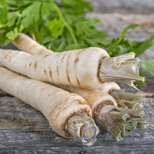 A photo of fresh parsnips on a wooden surface, with green leaves and white flesh visible.