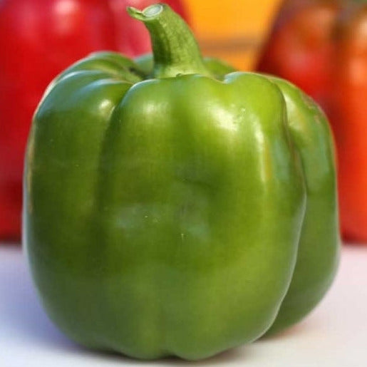 A single green Pepper Bell Emerald Giant pepper with a thick wall and blocky bottom, set against a background of various colored peppers.