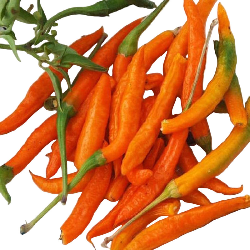 A group of orange Cayenne peppers on a white plate with green stems, indicative of freshness and readiness for harvest.