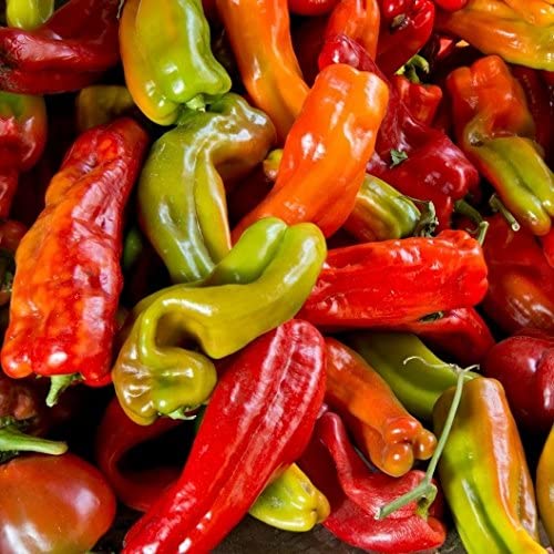 A collection of colorful Anaheim chili peppers piled together.