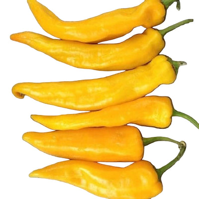 A group of golden Marconi peppers on a wooden surface.