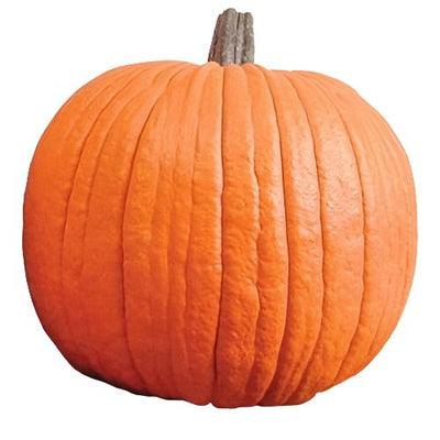 A single, large, orange pumpkin with distinct ribbing and a stem on top.