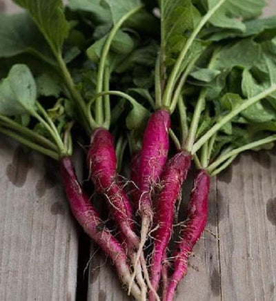 A bunch of long scarlet radishes with green leaves, resting on a wooden surface.