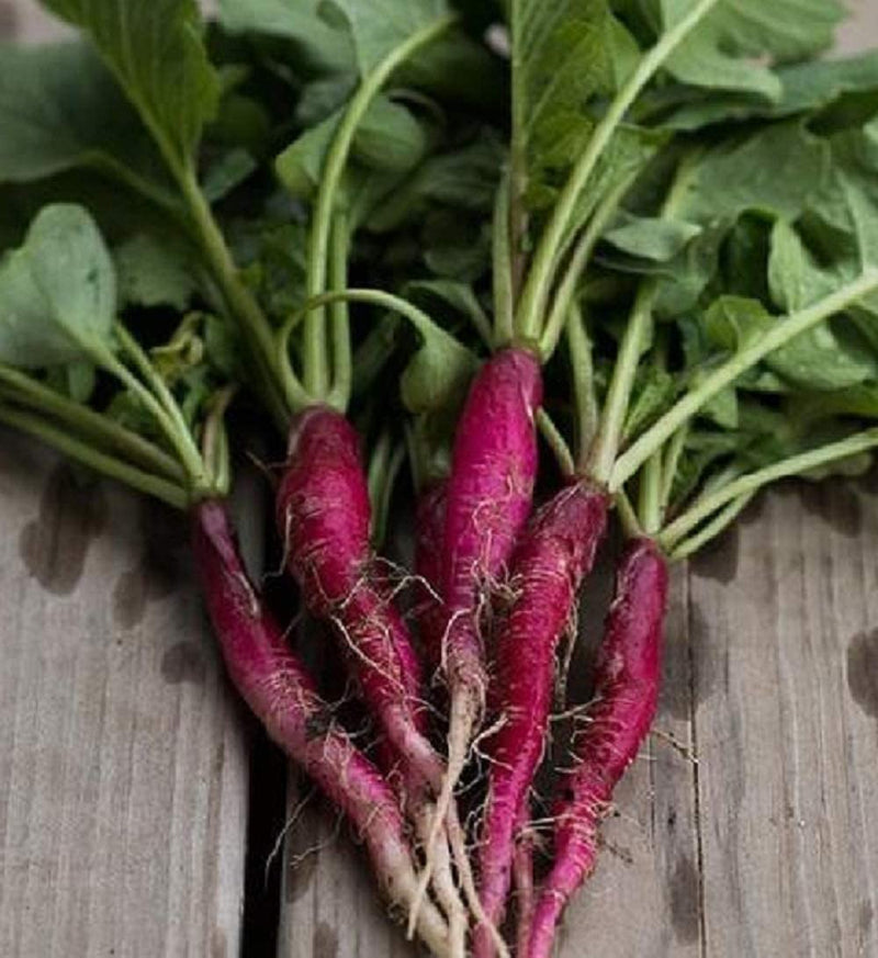 A bunch of long scarlet radishes with green leaves, resting on a wooden surface.