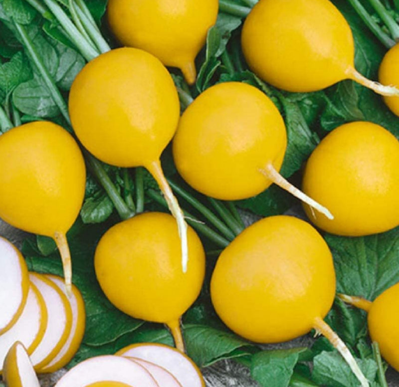 A group of bright yellow olive-shaped radish bulbs with green leaves, on a white background. Some radish bulbs are whole, while others are sliced in half to show the white flesh inside.