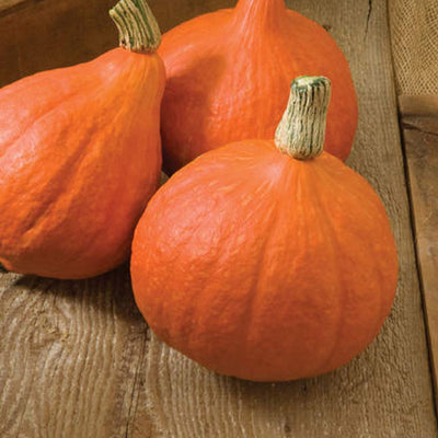 Three bright orange winter squash with a teardrop shape and green stems, placed on a wooden surface.