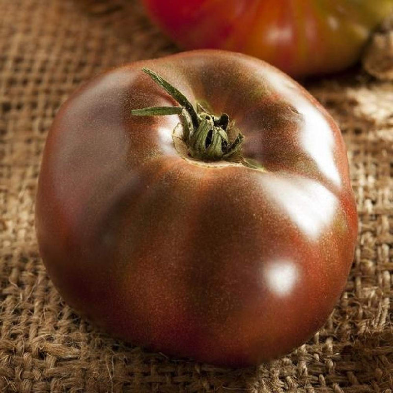 A single maroon red Beefsteak tomato with black shoulders, placed on a textured background, with another whole tomato visible in the top right corner.