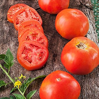 A cluster of red Rutgers tomatoes, with one tomato cut in half to show the inside, placed on a wooden surface with green foliage in the background.