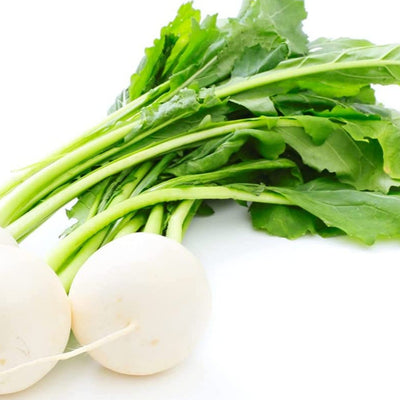 Two white egg-shaped turnips with green leaves attached, on a white background.