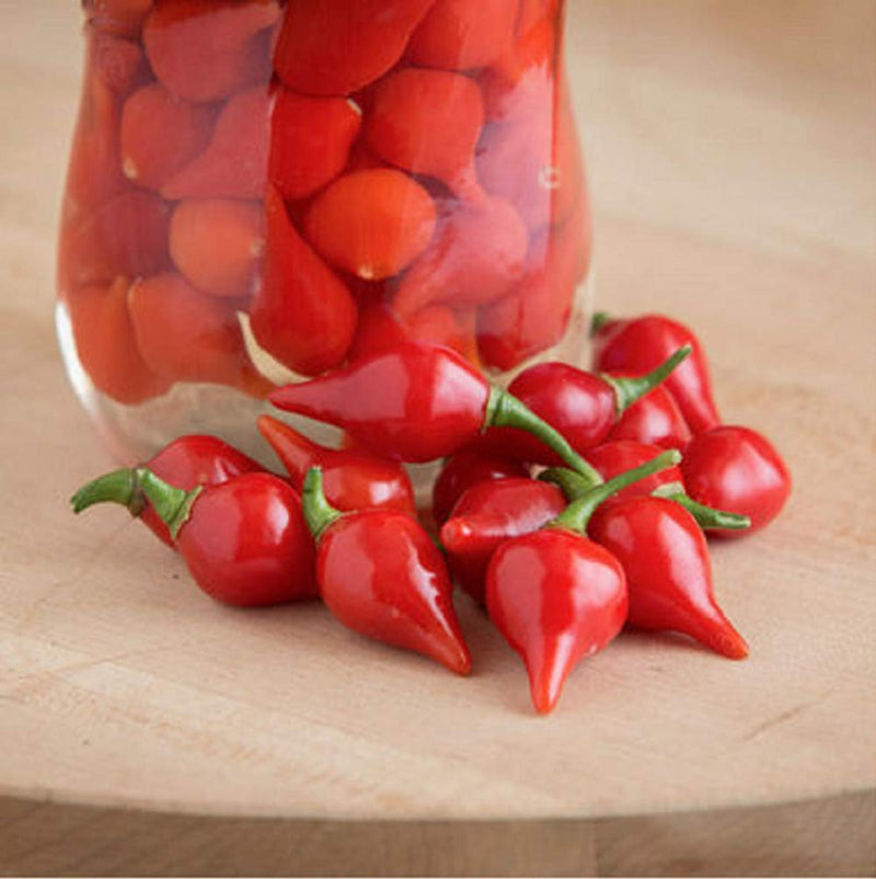 Pepper Hot Biquinho Red 25 Non-GMO, Heirloom Seeds