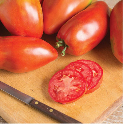 High-yielding heirloom paste tomato. This "sausage" type paste tomato produces large, 8 to 10 ounces, elongated fruits that are easy to process into sauce. An excellent canning tomato, it also tastes great when eaten fresh. Indeterminate. Attractive green shoulders give a distinct heirloom look.  Fruits ripen during a concentrated period, allowing for a more efficient canning process. It is well-adapted to northern climates, and resists disease and blossom end rot better than others of its type.