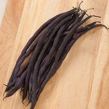 Beautiful slender purple pods. Much nicer than older purple pole bean varieties. Harvest pods at 8 to 9 inches. Excellent, rich, and slightly sweet flavor. Suitable for fresh use in salads or cooked. Beans turn green when cooked. Tan seeds. Harvest in about 62 days. Germination rate is about 80% or better.