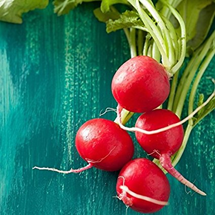 Champion radish is an excellent variety for cooler weather. Crisp round scarlet radishes with mild white flesh, these are perfect for salads and garnish. ASA winner. Heavy yielder, easy to grow and extra hardy, what is there not to like?  Harvest in about 30 days. Germination rate about 80% and be