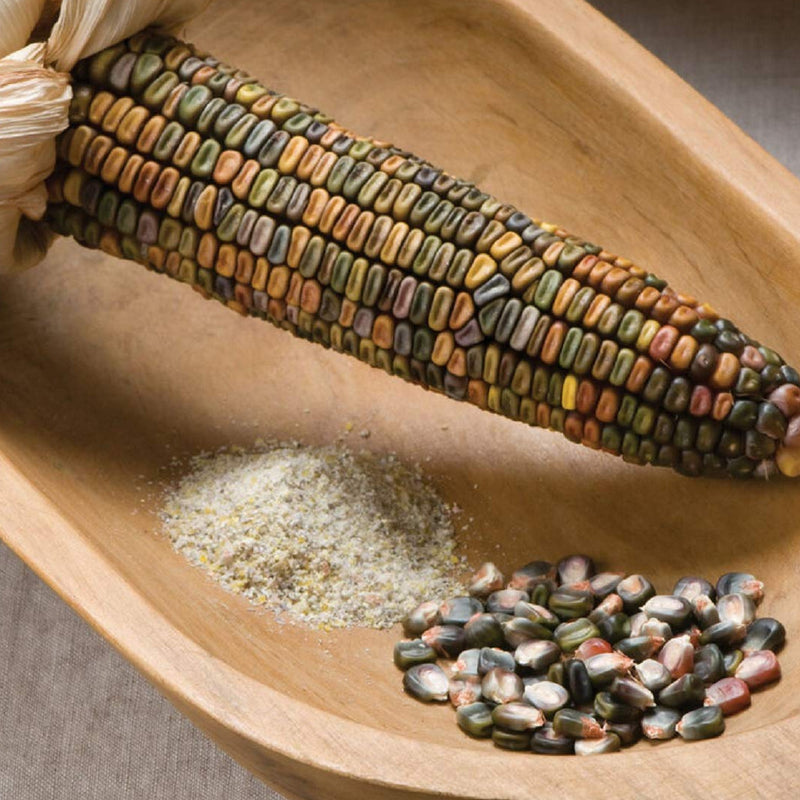 Muted colors for fall decoration. Large, 8 to 10 inch ears are filled with gold, dark orange, green, pink, blue, and in-between colored kernels. For ornamental use or grinding into cornmeal. Tall, 8 to 10 foot plants.  Harvest in about 95 days. Germination rate about 80% or better. 
