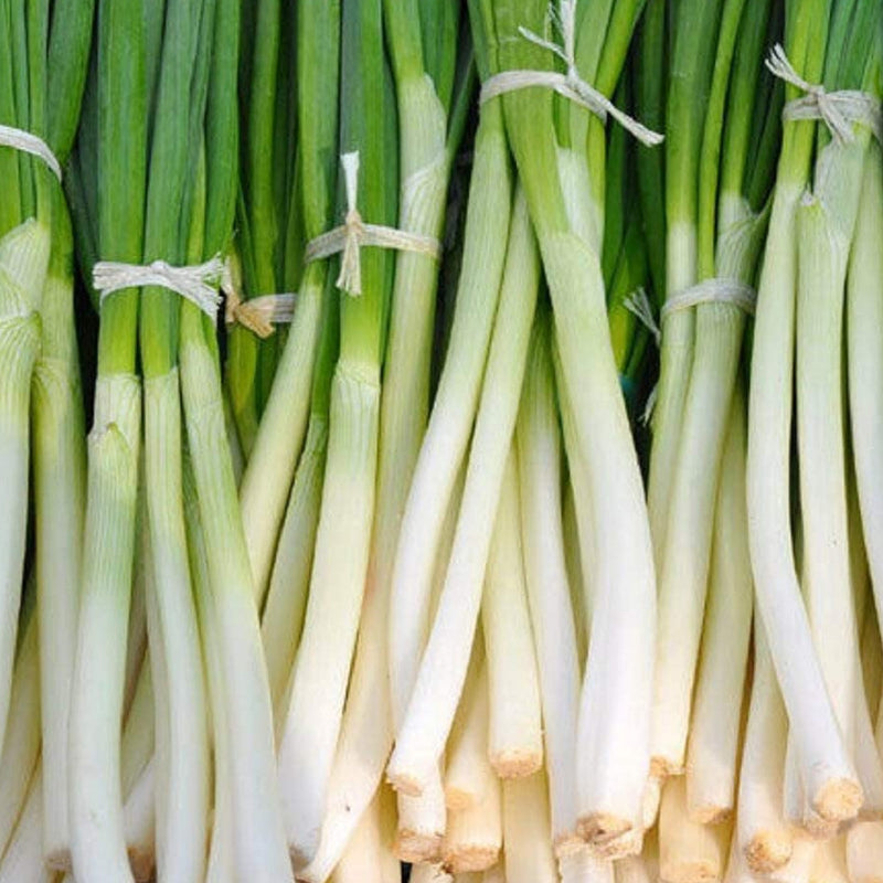 Bunching Onion HeShiKo Bunching 200 Non-GMO, Heirloom Seeds If you enjoy Asian cooking, then the mild and flavorsome Heshiko Bunching Onion seeds are right for you! These Japanese bunching onions&