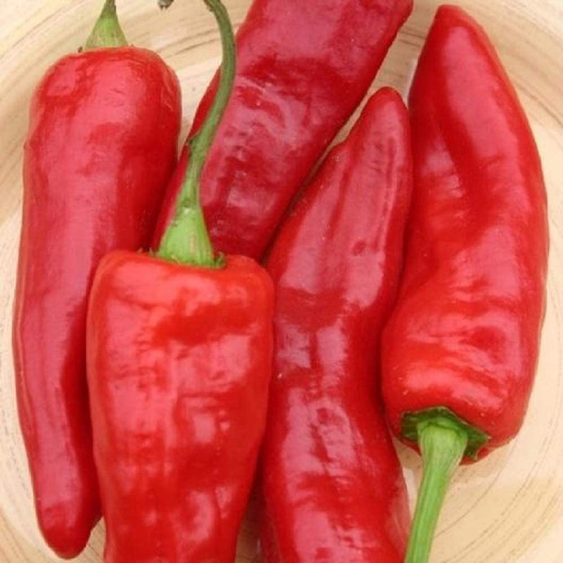 Pepper Specialty Sweet Marconi Red 25 Non-GMO, Heirloom Seeds