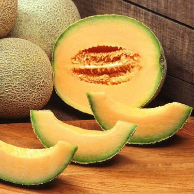 The Rocky Ford Melon (or Rocky Ford Cantaloupe) is a sweet and spicy-tasting heirloom muskmelon that’s been around for almost 120 years! The Rocky Ford Melon is well netted, slightly ribbed, and produces delicious orange flesh.  Harvest in about 85 days. Germination rate about 80% or better. 