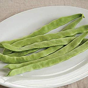 This early maturing, Roma-type pole bean has a deliciously rich, sweet flavor. The 8 inch long, 1 inch wide, flat green pods are stringless and stay tender for long periods. Extra vigorous in the seedling stage with strong vine growth. white seeds. Harvest in about 60 days. Germination rate about 80% or better. 