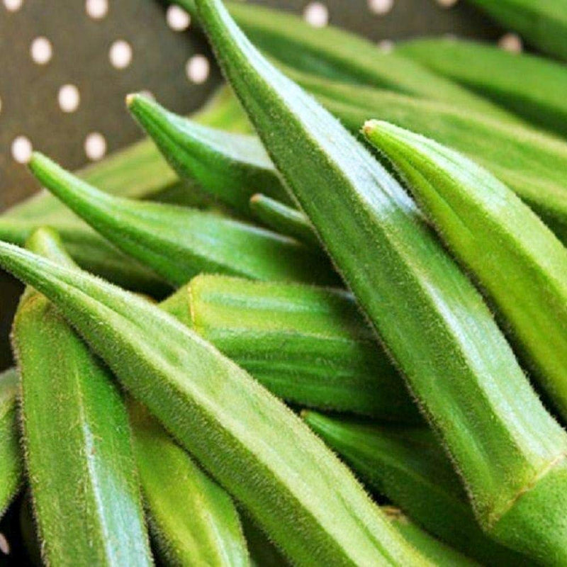 Okra Emerald 100 Non-GMO, Heirloom Seeds