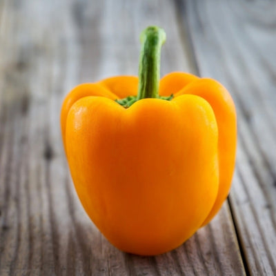 A beautiful bright orange bell pepper, "Orange King" will yield nice quantities of thick-skinned large sweet peppers. Colorful and delicious, they'll add color to your salads and are perfect for stuffing.  Harvest in about 80 days. Germination rate about 80% or better. 